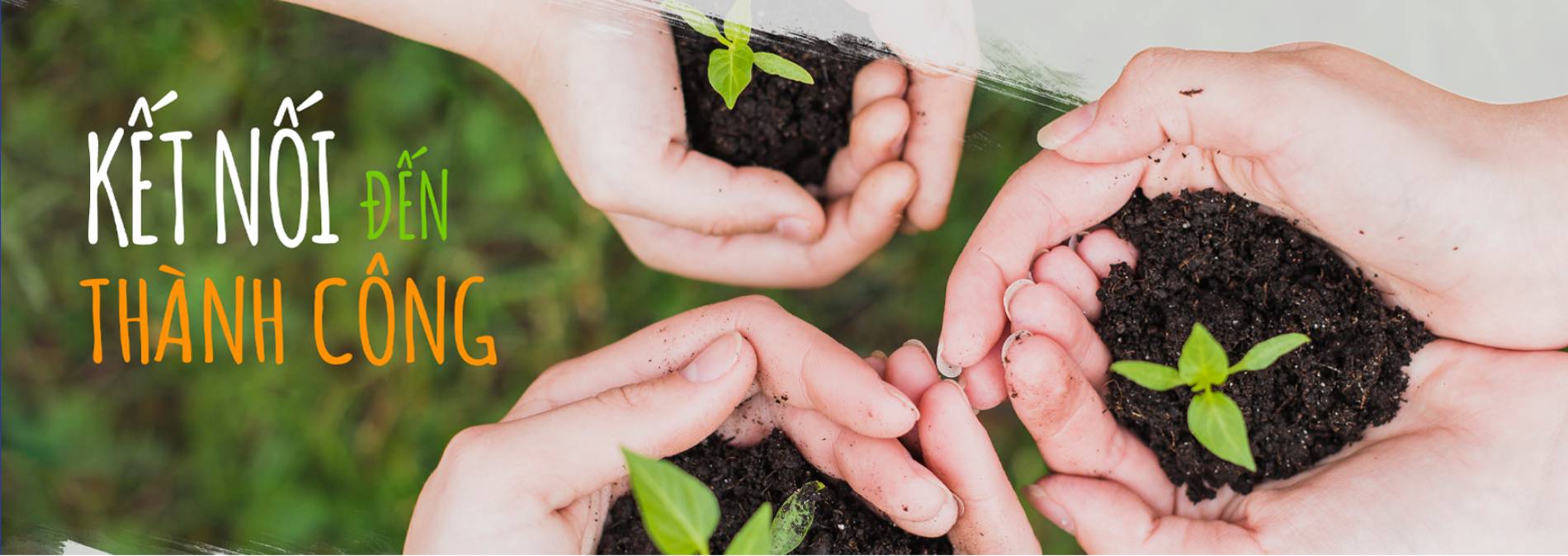 Kết nối đến thành công